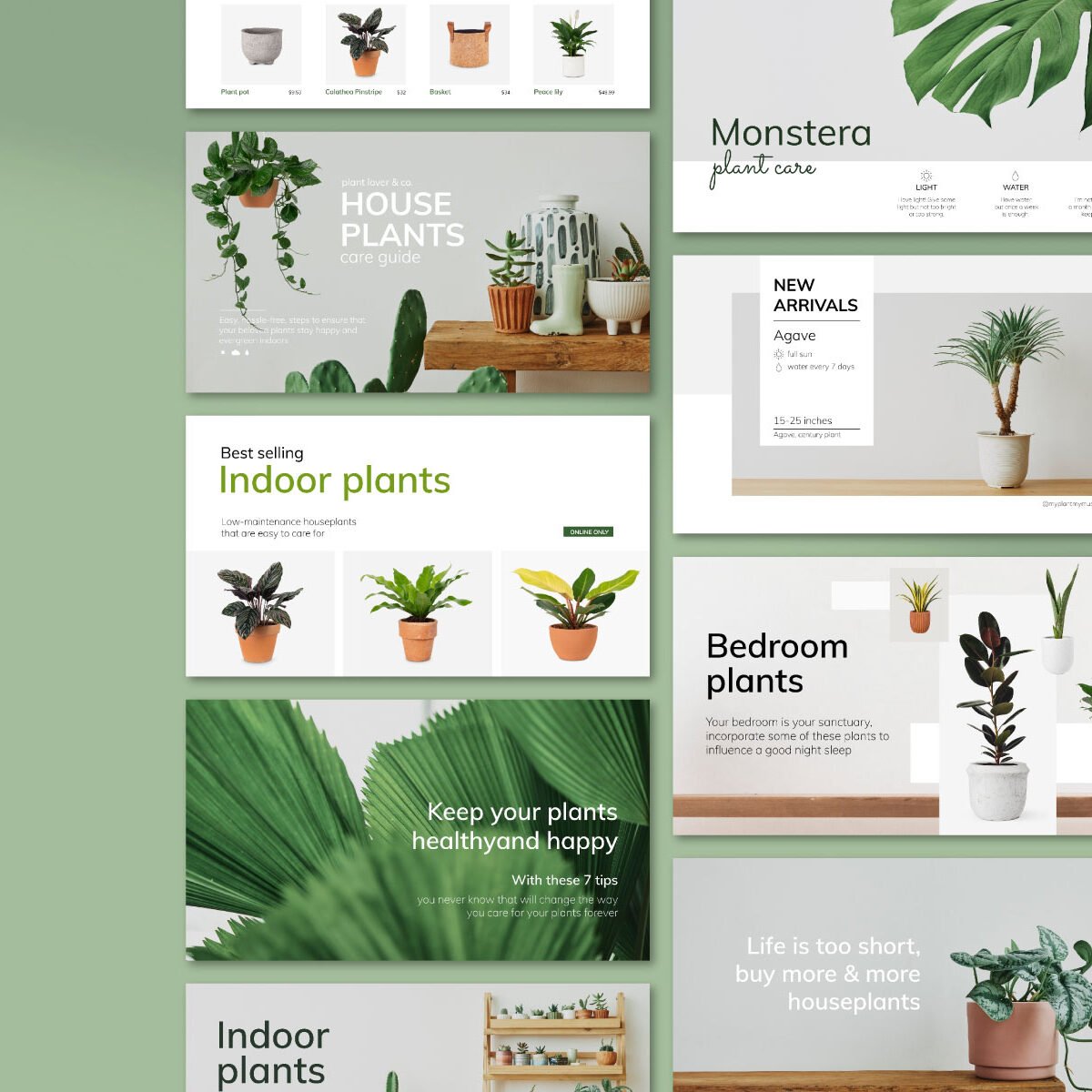 Presentations & Publications